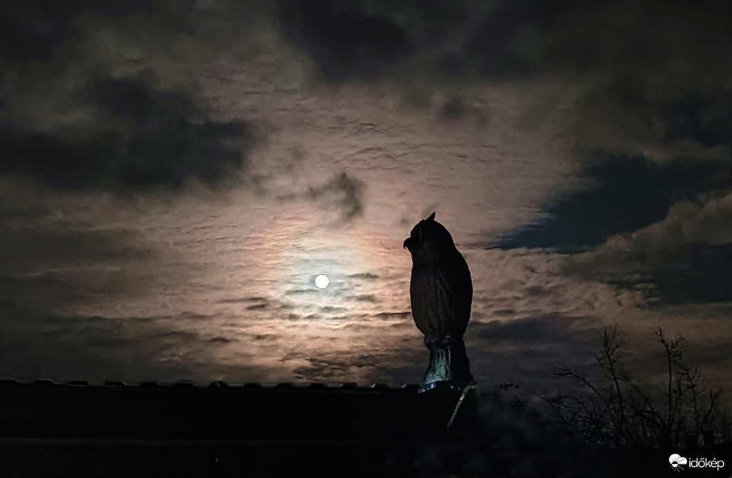 Hó eleje, fénylő érme 