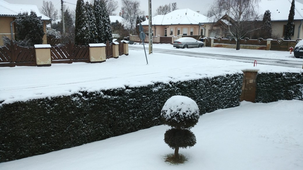 Észlelési fényképek