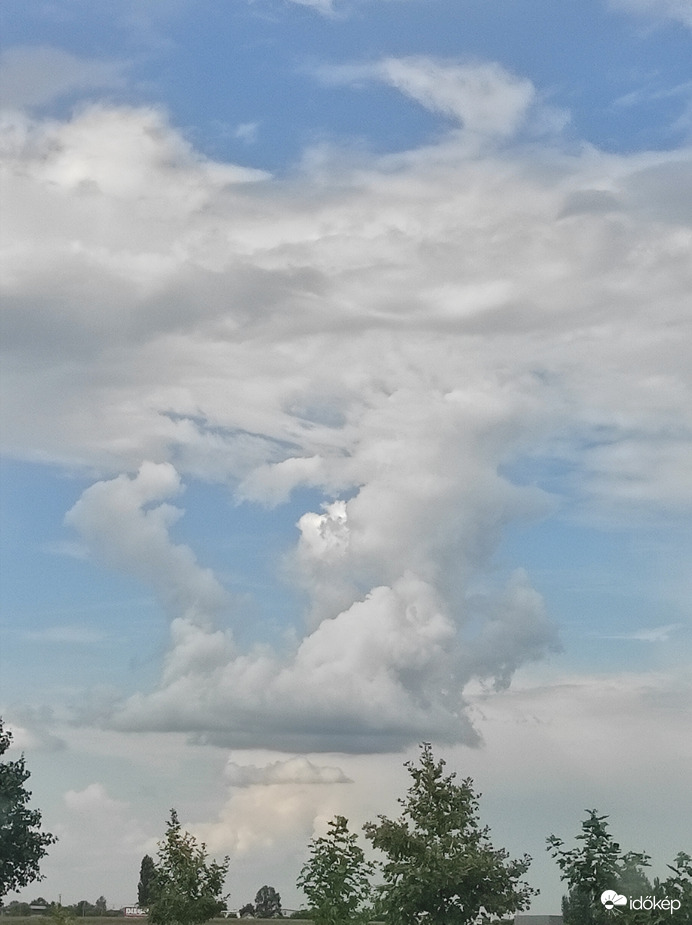 Észlelési fényképek