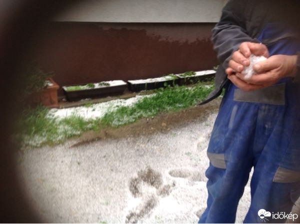 Észlelési fényképek