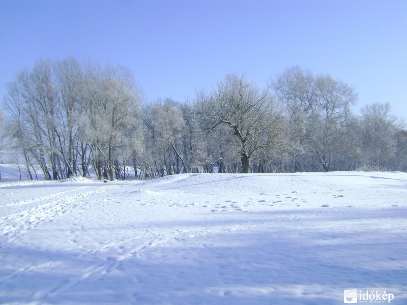 Makó, Maros-part