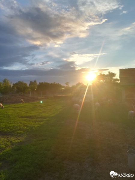 Észlelési fényképek