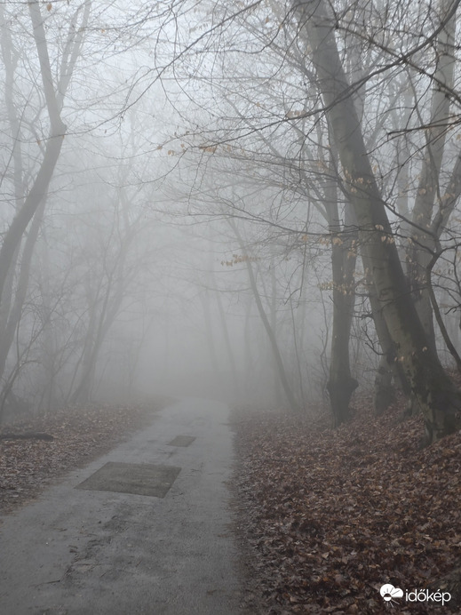 Budapest XII.ker - Normafa