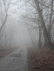 Budapest XII.ker - Normafa