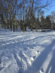 Budapest XII.ker - Zugliget