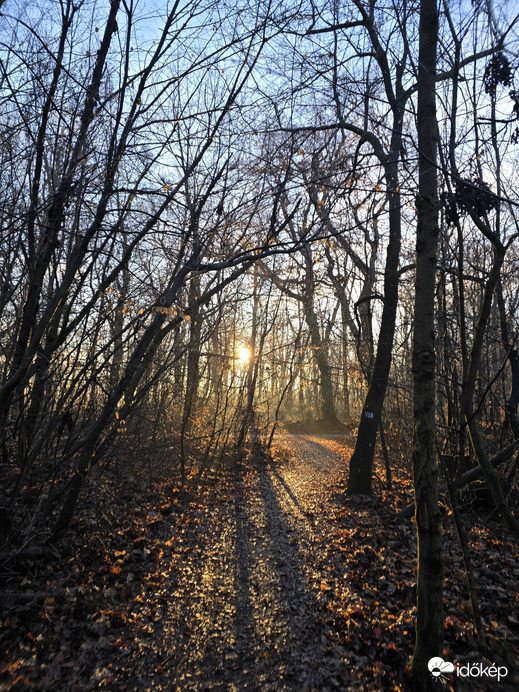 Budapest XII.ker - Normafa
