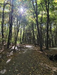 Budapest XII.ker - Zugliget