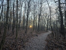 Budapest XII.ker - Normafa