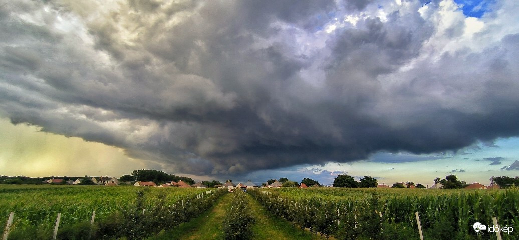 Észlelési fényképek