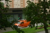 gyopiz88 fotója