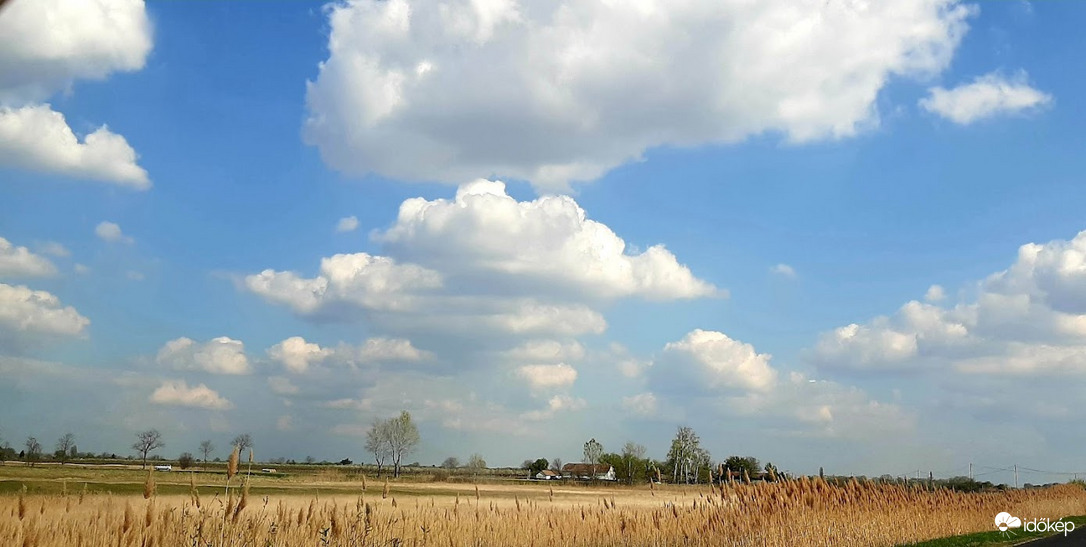 Búzamező+felhők..