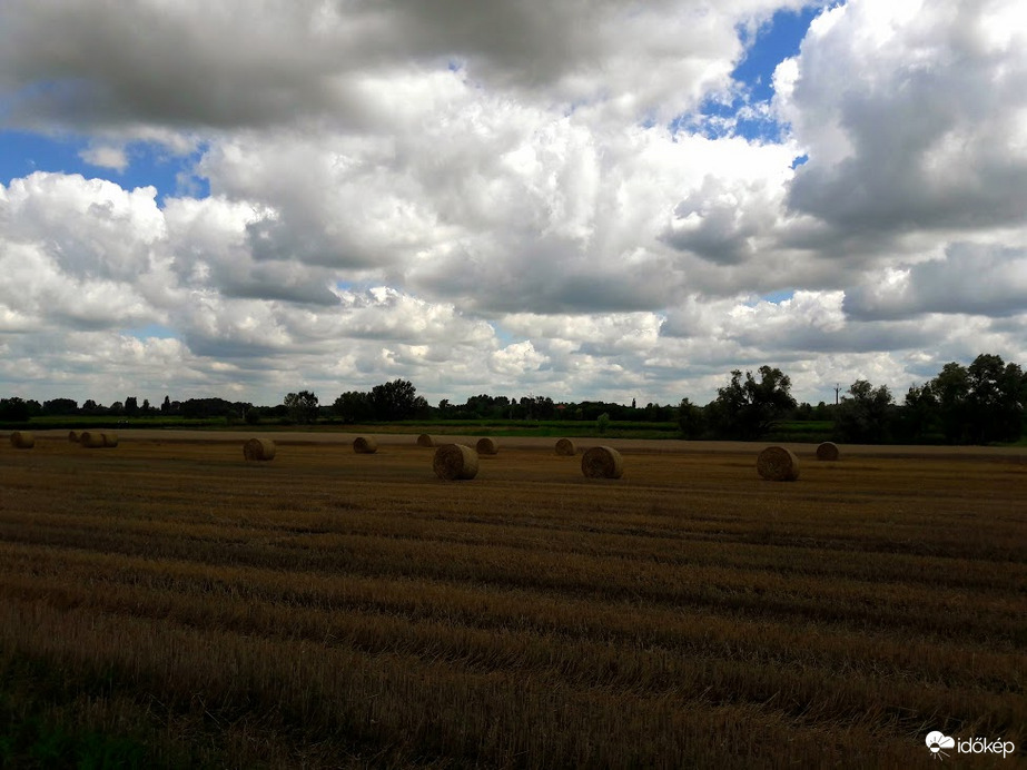 Felhők és bálák..