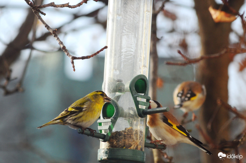mosolyogni kérem, CSÍÍÍÍÍZ !!!