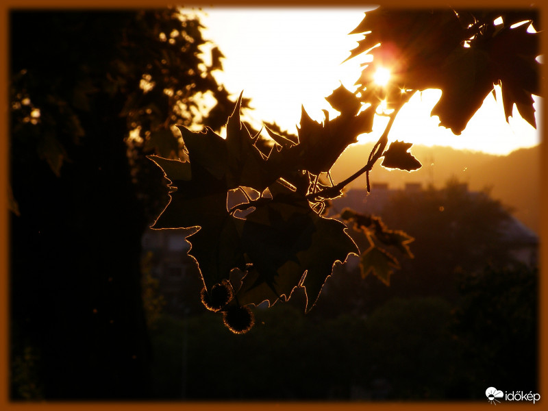 esti ellenfényben 2