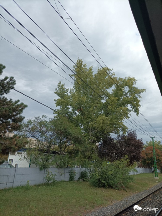 Észlelési fényképek