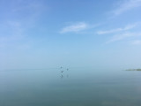 Balatonalmádi