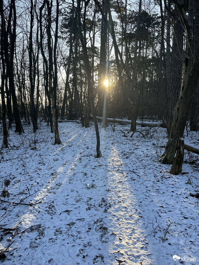 Fagyos reggel a Börzsönyben