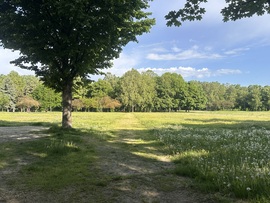 hagnes68 fotója
