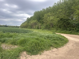 hagnes68 fotója