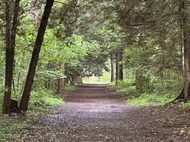 hagnes68 fotója