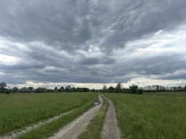 hagnes68 fotója