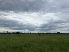 hagnes68 fotója