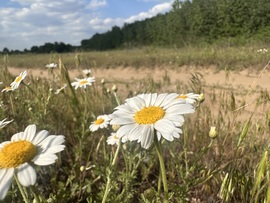 hagnes68 fotója