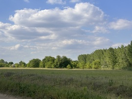 hagnes68 fotója