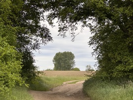 hagnes68 fotója