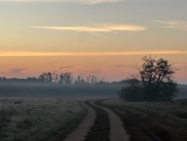 hagnes68 fotója