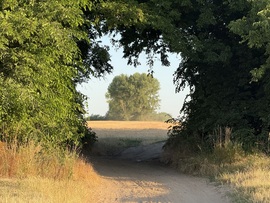 hagnes68 fotója