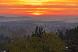 Budapest XV.ker - Pestújhely
