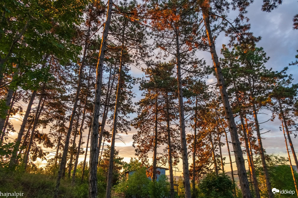 Pilisvörösvár