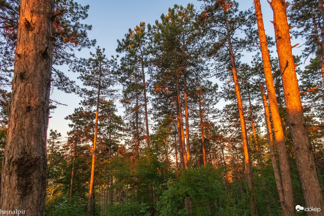 Pilisszentiván