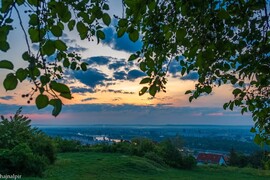 Budapest II.ker - Rózsadomb