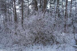 Budapest XIII.ker - Újlipótváros