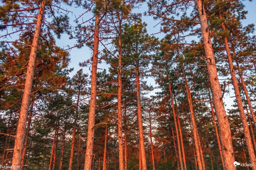 Pilisszentiván