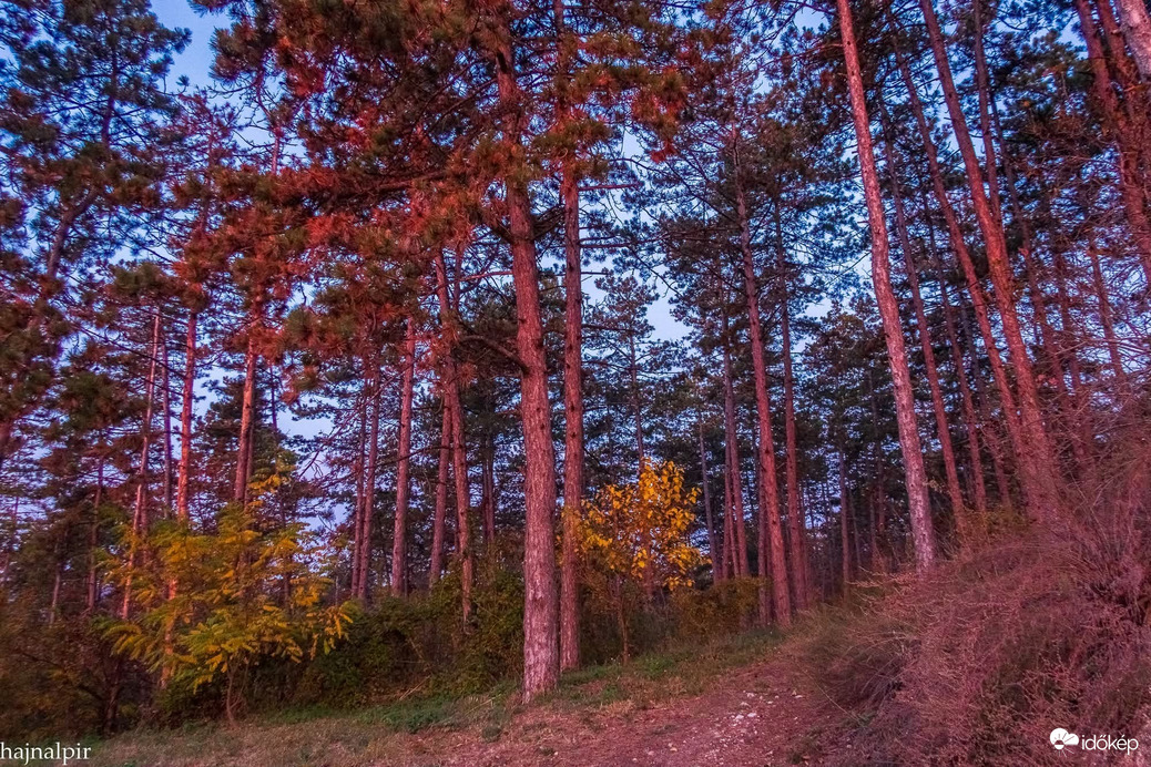 Budapest XV.ker - Pestújhely