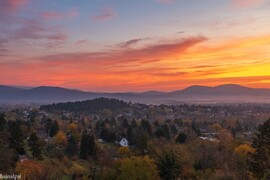 Budapest XV.ker - Pestújhely