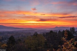 Budapest XV.ker - Pestújhely