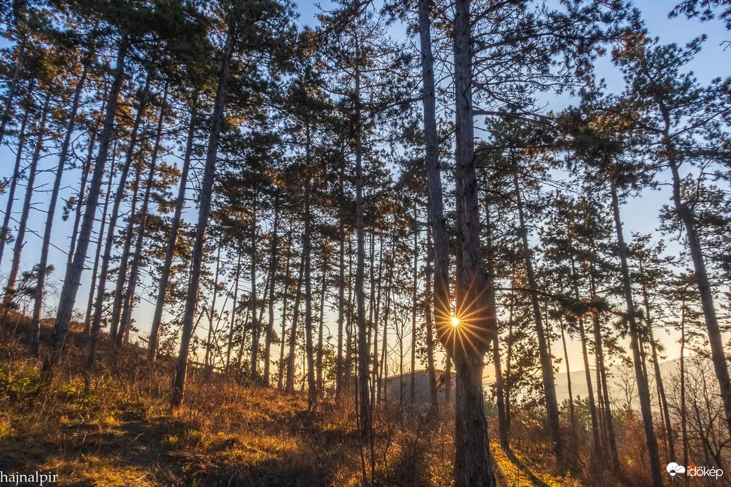 Észlelési fényképek