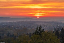 Budapest XV.ker - Pestújhely