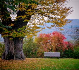őszi színek Svájcban