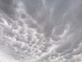 Mammatus
