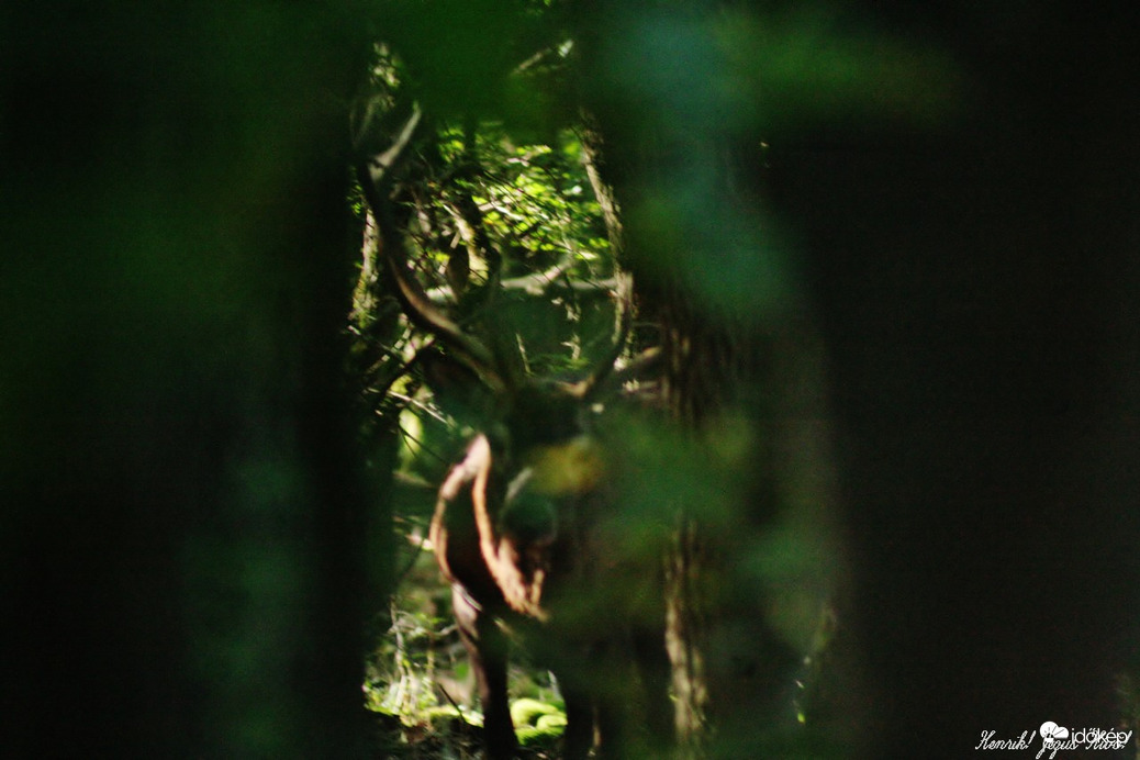 A gím. Kukucs ki van ott.