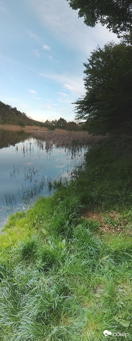 Panoráma