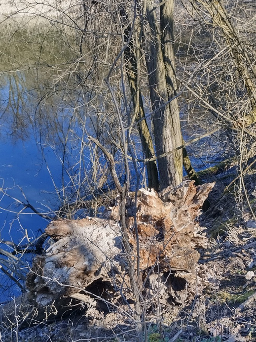 Gyomaendrőd