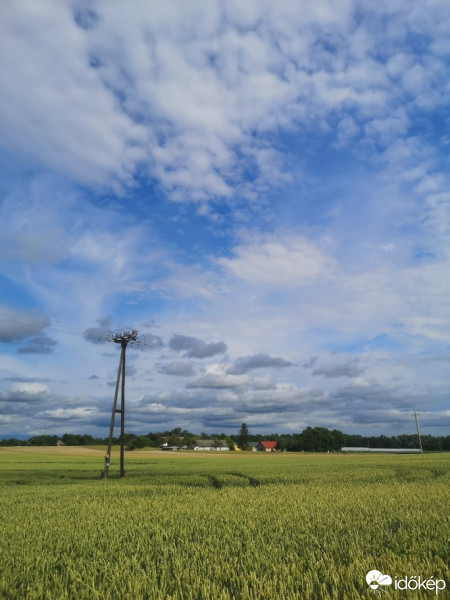 Észlelési fényképek