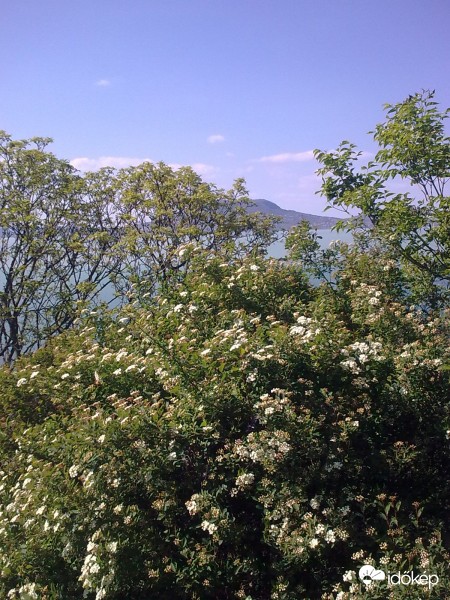 Bélatelep