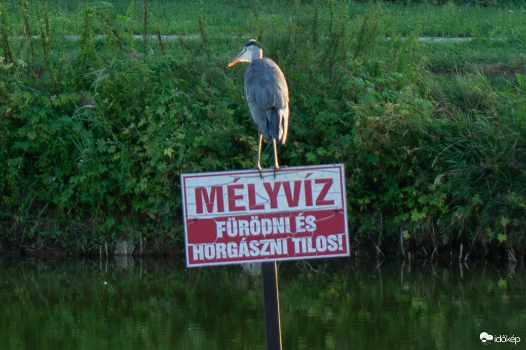 Törvényen kívül